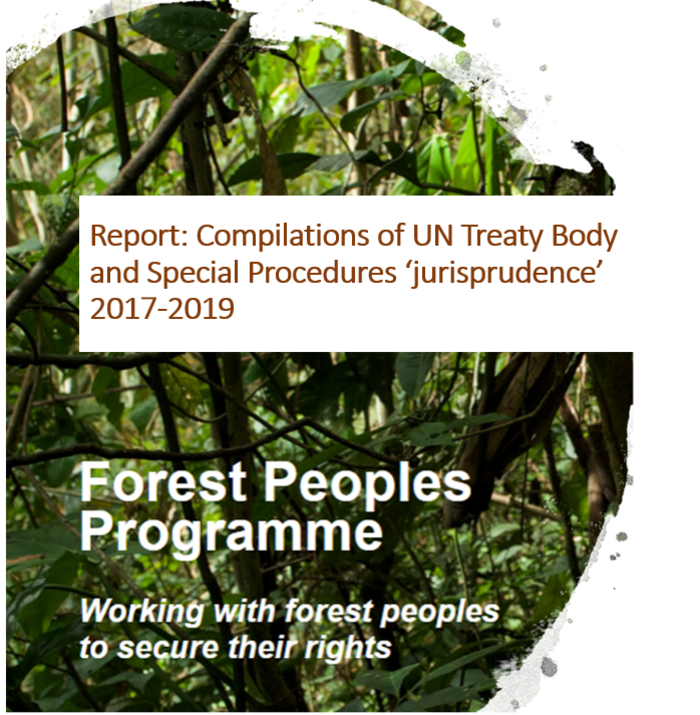 UN jurisprudence report VIII