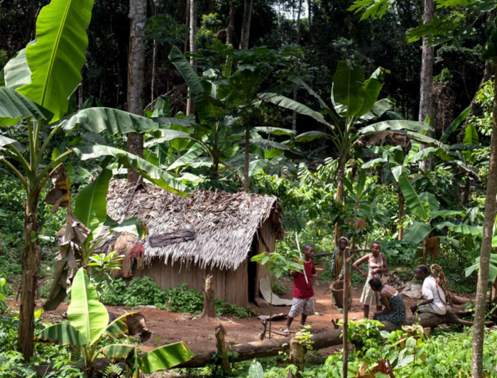 Second-Class Citizens: Discrimination against Indigenous Peoples in the forests of Cameroon