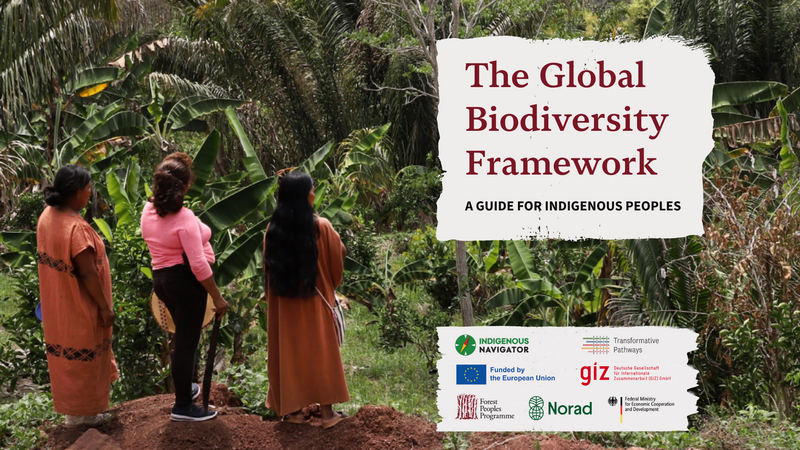 The Global Biodiversity Framework: A Guide for Indigenous Peoples