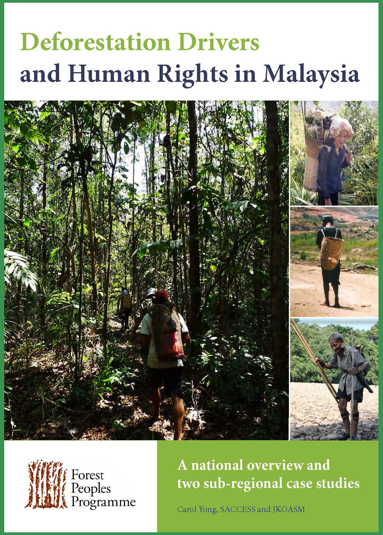 Deforestation Drivers And Human Rights In Malaysia Fpp