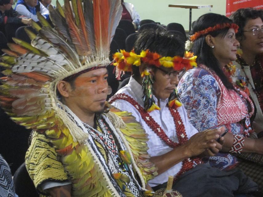 Indigenous Peoples Mobilise in Lima, but Climate Change Conference ...