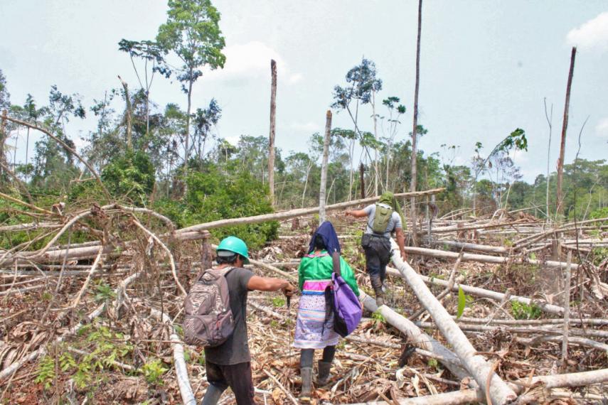 Indigenous Forest Defenders Call Upon Peruvian State For Protection Amidst Surge In Illegal Logging Narcotics Production And Threats Fpp