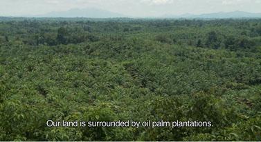 Documentary about Terusan in West-Kalimantan (Indonesia): Mapping Future | FPP